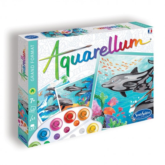 SentoSphère - SABLIMAGE - POISSONS ET DAUPHINS - 880 - Kit Loisir Créatif -  Réaliser 4 tableaux avec 15 tonalités de sable - A partir de 4 ans -  Fabriqué en France : : Jeux et Jouets