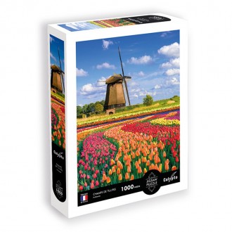 PUZZLE Champs de tulipes - Hollande