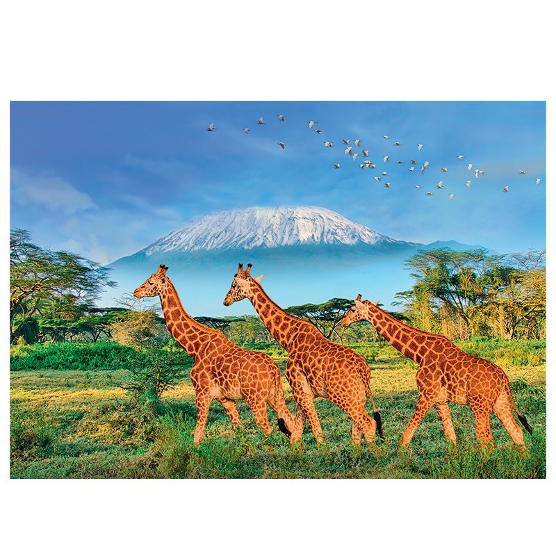 PUZZLE 500 pièces XL - Girafes