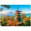 PUZZLE 500 pièces XL - Mont Fuji