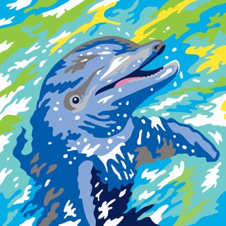 Colorizzy Dauphins