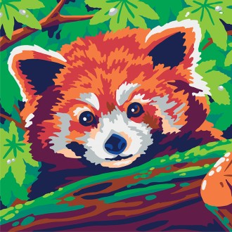 Colorizzy Panda Roux - Shiba
