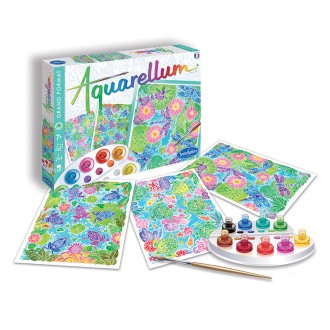 Aquarellum Vu du Ciel