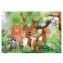 Puzzle 2 x 24 pièces - Animaux Sauvages 