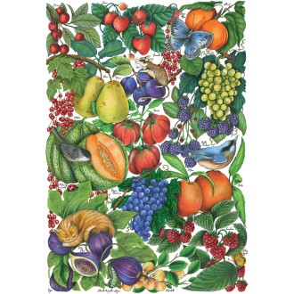 PUZZLE 500 pièces - Les Fruits d'Eté