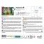 Puzzle 54 pièces - L'Apprenti Magicien