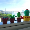 Patarev Blister Mini Cactus
