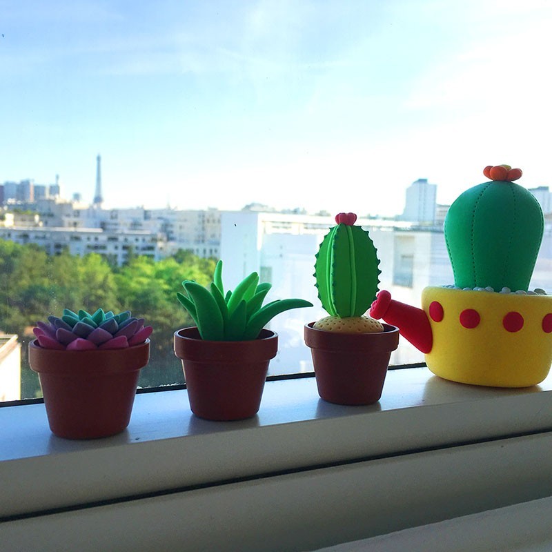 Patarev Blister Mini Cactus Patarev Blister Mini Cactus