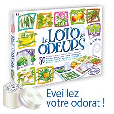 Jeux des 5 sens